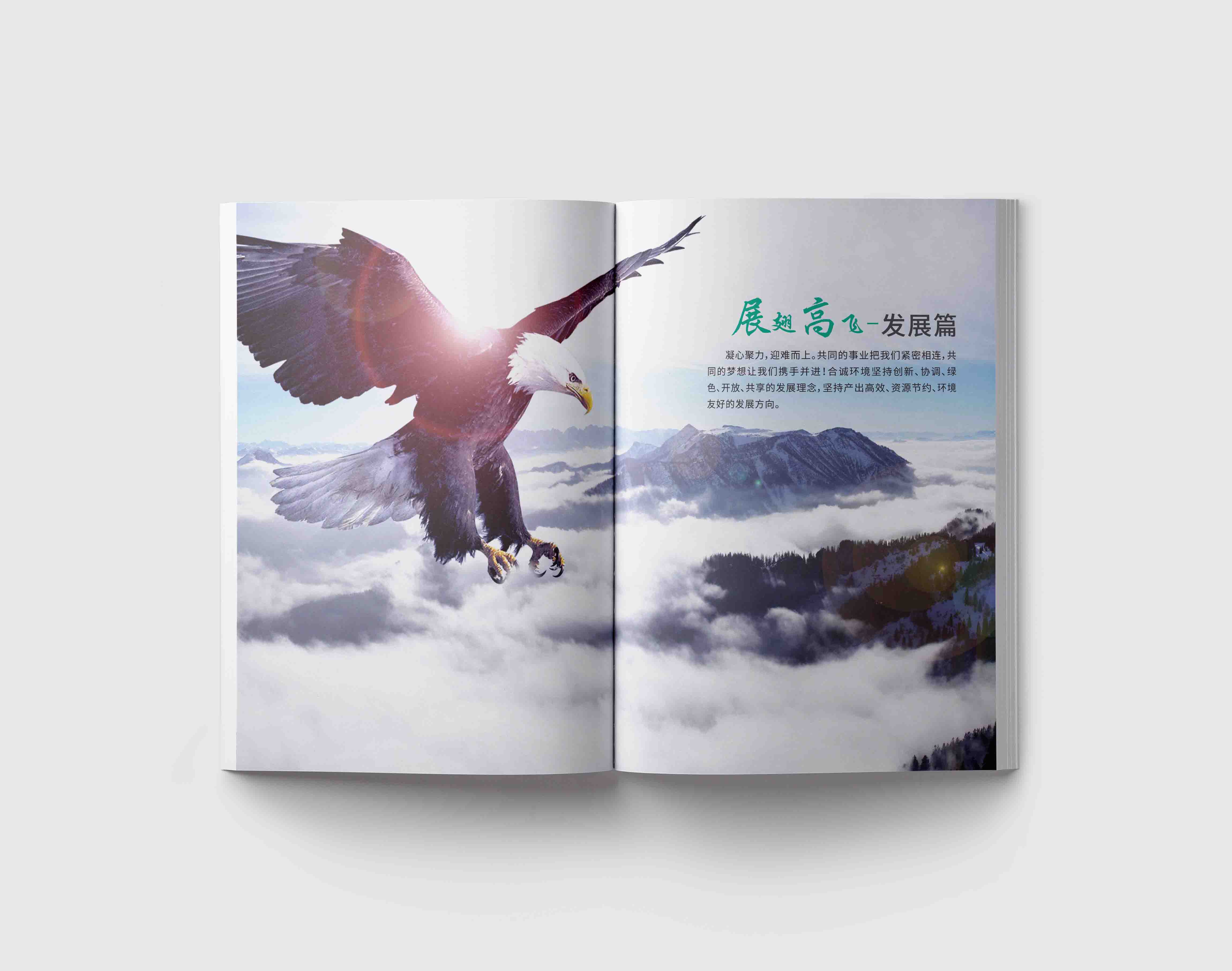 企業(yè)宣傳畫冊設(shè)計