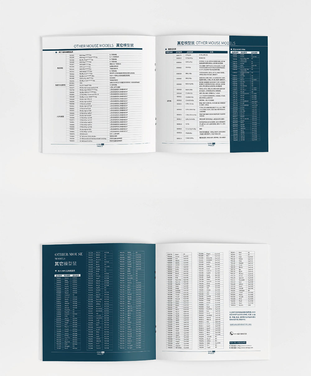 模型企業(yè)畫冊設(shè)計,模型企業(yè)畫冊設(shè)計公司