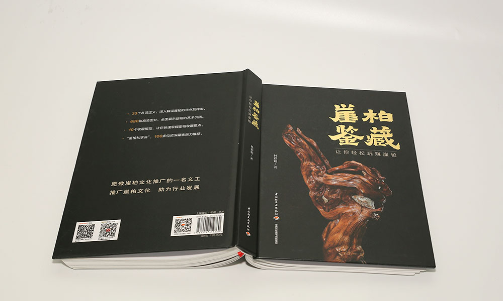 怎么學(xué)宣傳冊設(shè)計(jì)做多久？